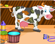 biks - Holstein cow care